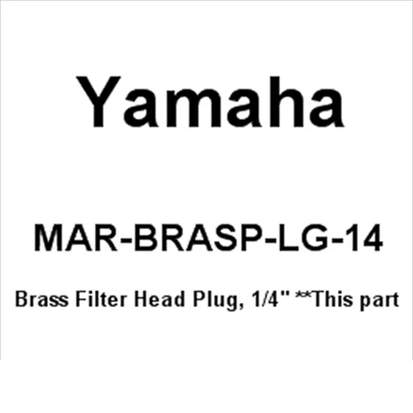 BRASS FILTER HEAD PLUG, 1/4"