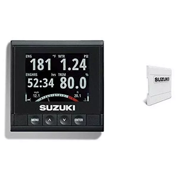 C10 COLOR DISPLAY