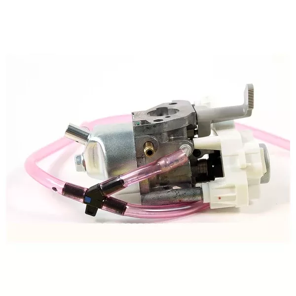 CARBURETOR (BF30C E)