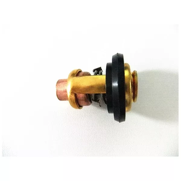 THERMOSTAT ASSY [8D4]